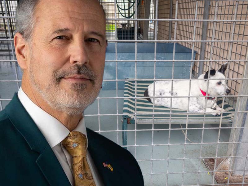 Monmouth SPCA Execs Flip Out in Secretly Recorded Interview After Employee Questions Euthanization