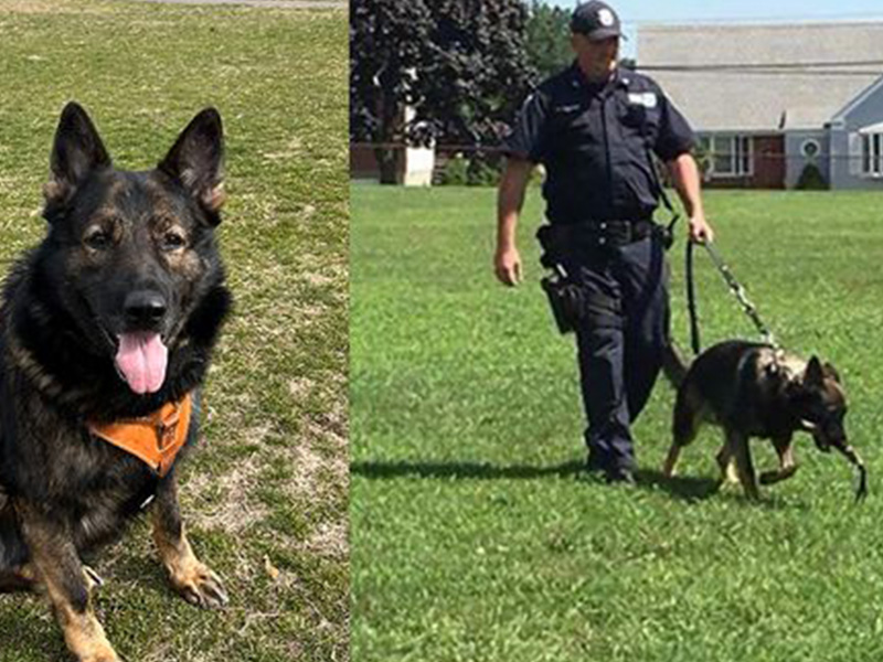 Yonkers Police Officer and K9 Partner Retire After Years of Service