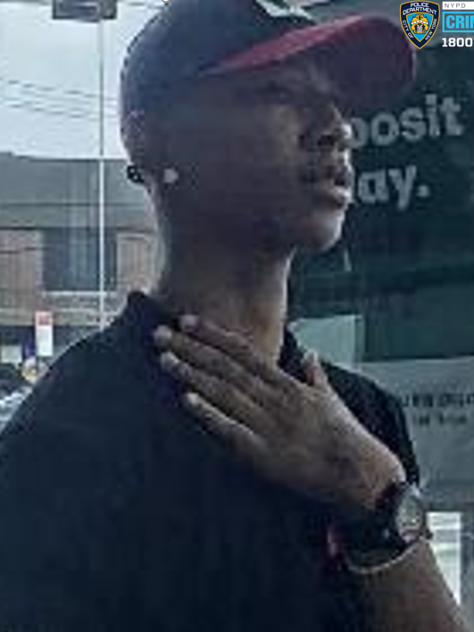 NYPD Seeks Suspect in Grand Larceny Incident in the Bronx NYPD Seeks Suspect in Grand Larceny Incident in the Bronx
