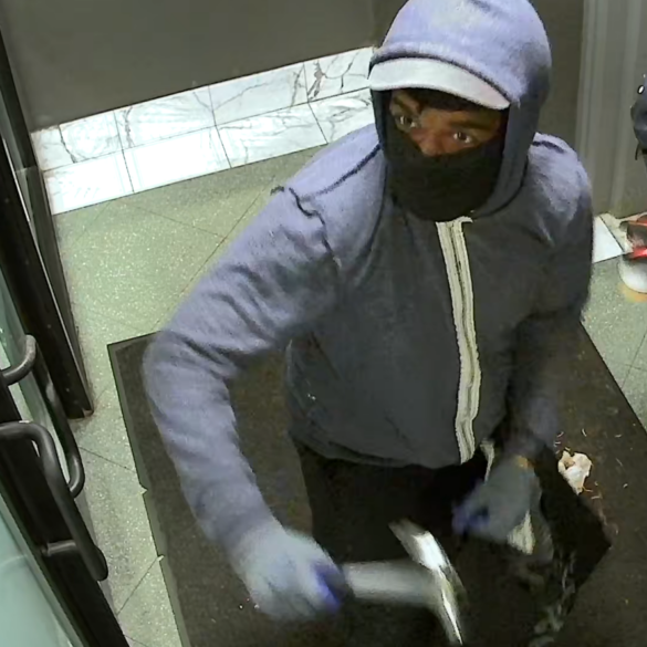 Columbia exec's apartment attacked by pro-hamas vandals with paint and crickets - photo licensed by shore news network.