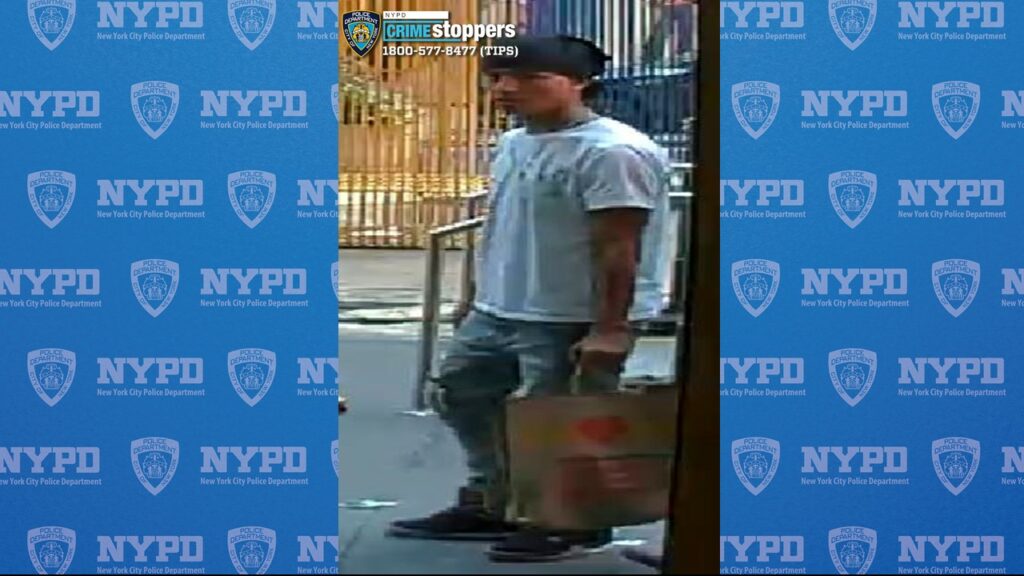 NYPD Seeks Public Help to Identify Suspects in Central Park Theft