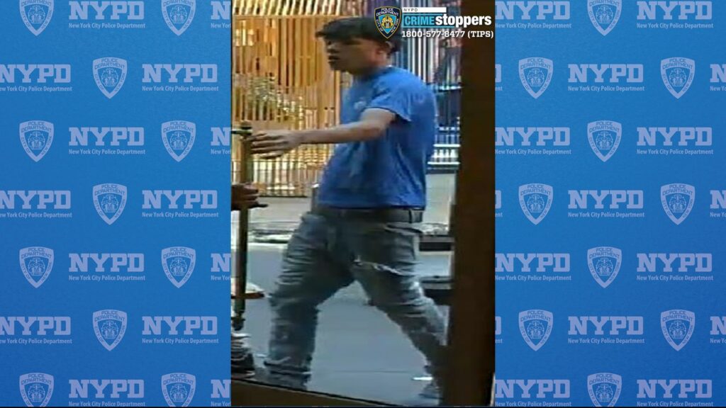 NYPD Seeks Public Help to Identify Suspects in Central Park Theft