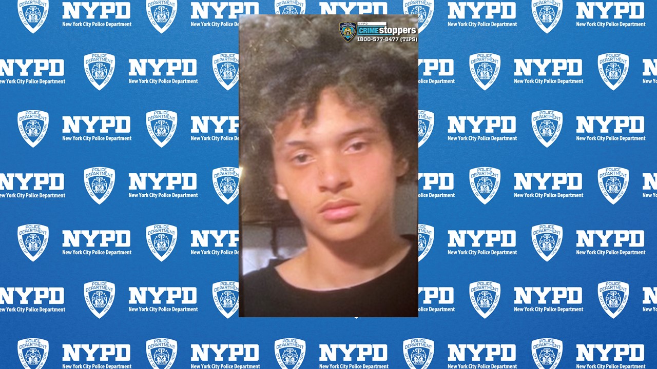 Alert: Missing Bronx Teenager Sought by NYPD
