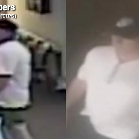 Elderly woman attacked in queens, fugitive at large - photo licensed by shore news network.