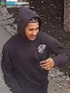 Police seek suspect in bronx sexual assault incident