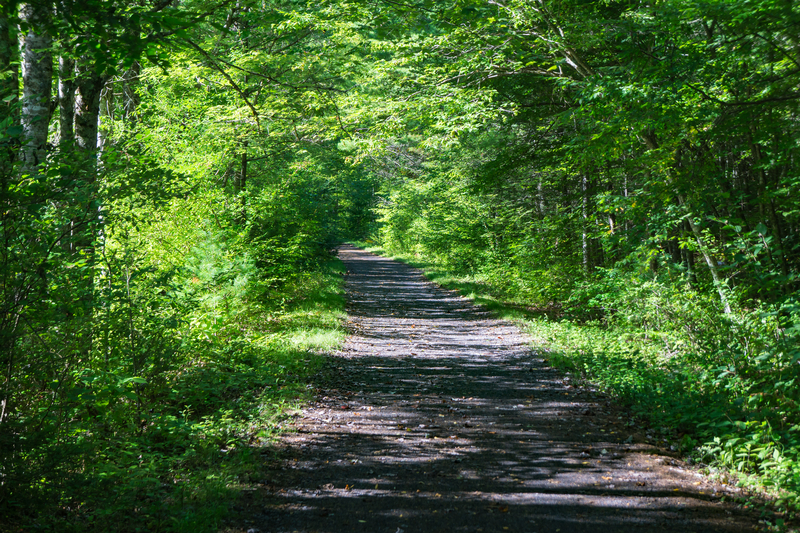 Celebrating 25 Years: The Jackson Pathfinders Enhance Community Trails