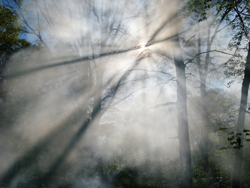 Wildfire threat prompts voluntary evacuations in Henderson County