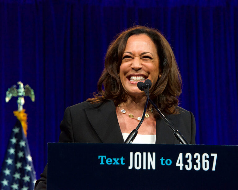 Desperate democrats are still trying to find a way for kamala harris to become president - photo licensed by shore news network.