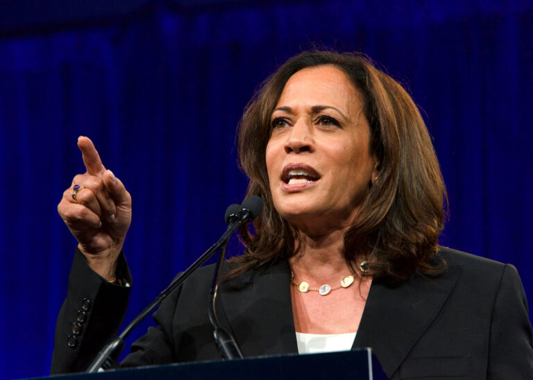 Days after saying she won't take anyone's guns away, kamala harris announces she's taking your guns away - photo licensed by shore news network.