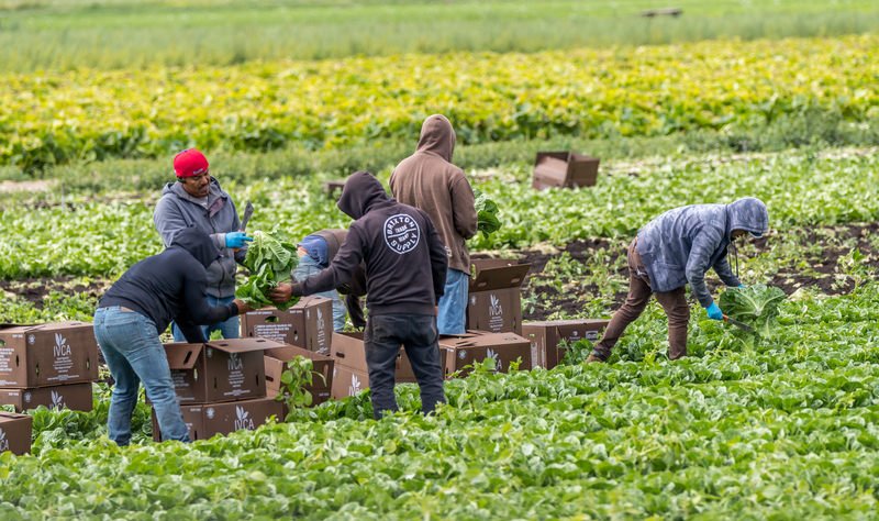 New Jersey Bill Seeks to Punish Employers Who Expose Illegal Immigrants