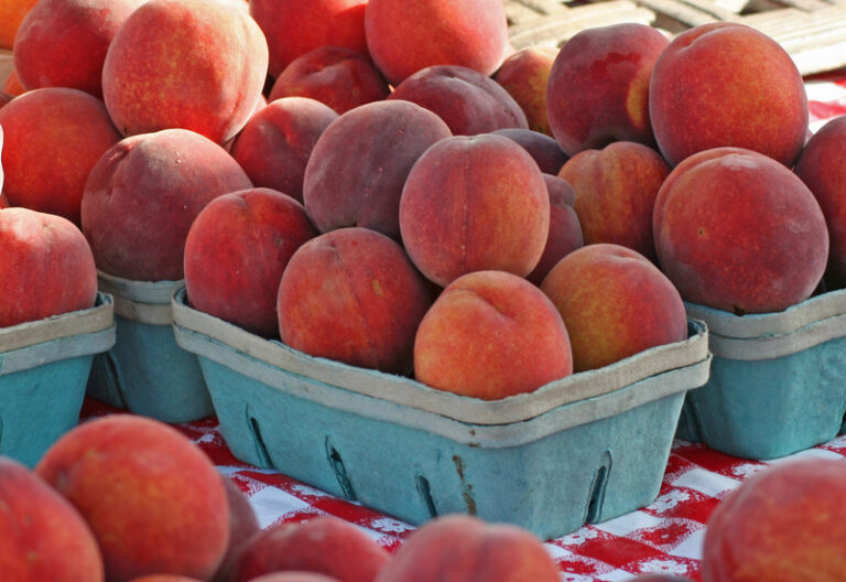 Just peachy festival: a peach-themed celebration at terhune orchards - photo licensed by shore news network.