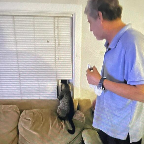 Stabbing incident in stafford county mobile home park prompts police manhunt - photo licensed by shore news network.