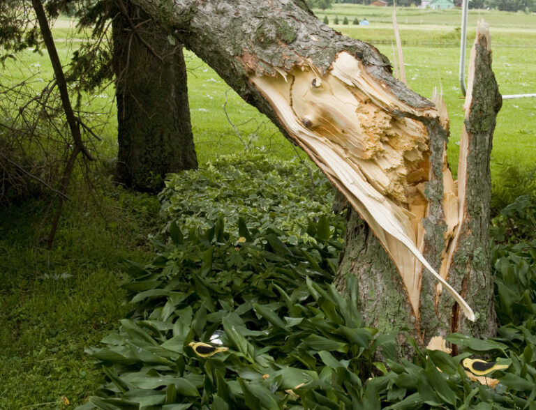 North castle police issue urgent travel advisory - photo licensed by shore news network.