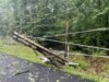 Storm causes road closure and damage in stafford county