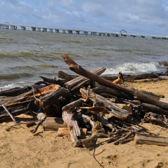 Navigational warning issued for chesapeake bay due to tropical storm debby - photo licensed by shore news network.