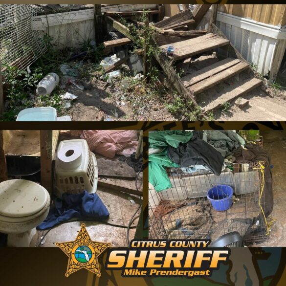 Florida sheriffs arrest two for animal cruelty and neglect - photo licensed by shore news network.