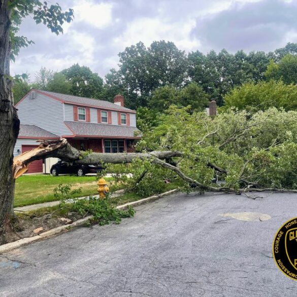 Gloucester township roads cleared after tropical storm debby - photo licensed by shore news network.