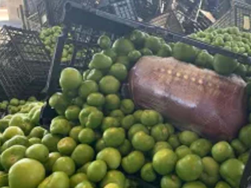 Cartel's 378 Pound Meth Stash Hidden in Tomatillo Shipment Seized at U.S. Border