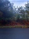Texas road in marlboro township closed due to downed power line and brush fire