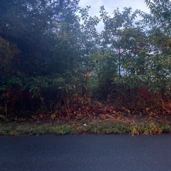 Texas road in marlboro township closed due to downed power line and brush fire - photo licensed by shore news network.