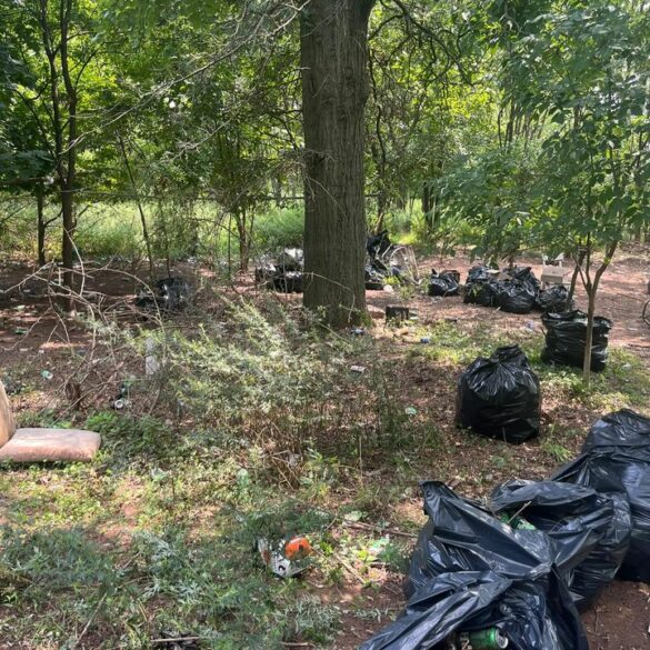 Newark community service officers lead cleanup at ivy hill apartments - photo licensed by shore news network.