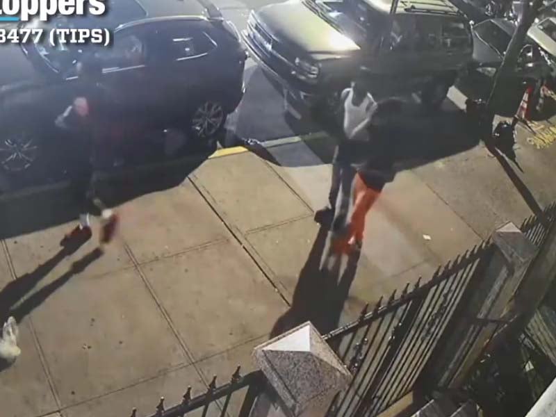 Woman, 37, Shot and Killed Insider Her Car in the Bronx