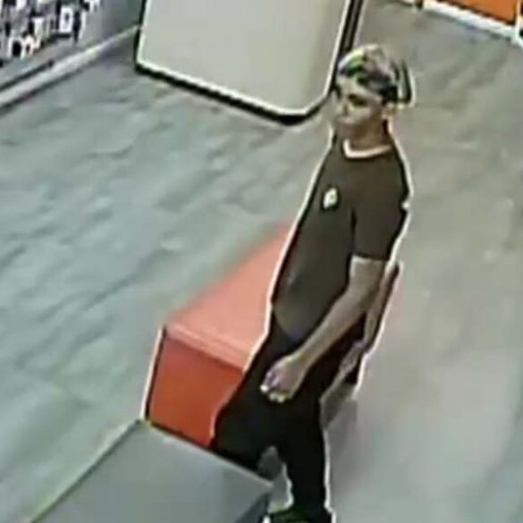 Elderly woman robbed near decatur avenue in the bronx - photo licensed by shore news network.