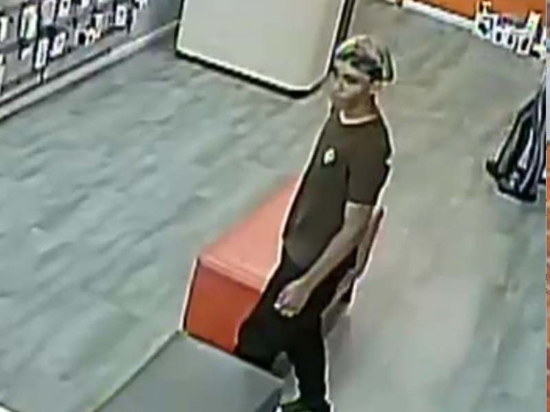 Elderly Woman Robbed Near Decatur Avenue in the Bronx