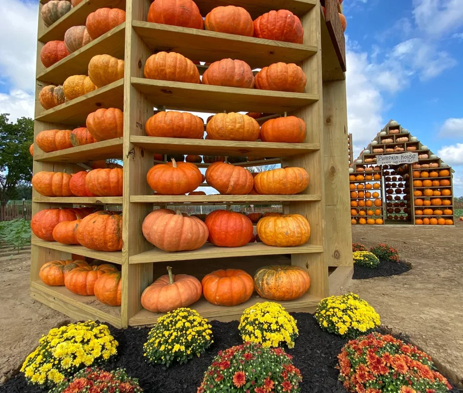 Happy Day Farm’s Fall Festival Celebrates the Season with Pumpkin Picking and Themed Mazes
