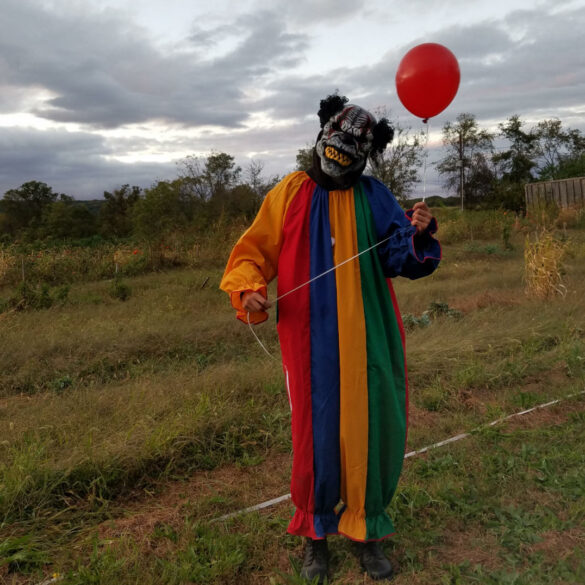 Schaefer farms fall festival offers autumn fun for families - photo licensed by shore news network.