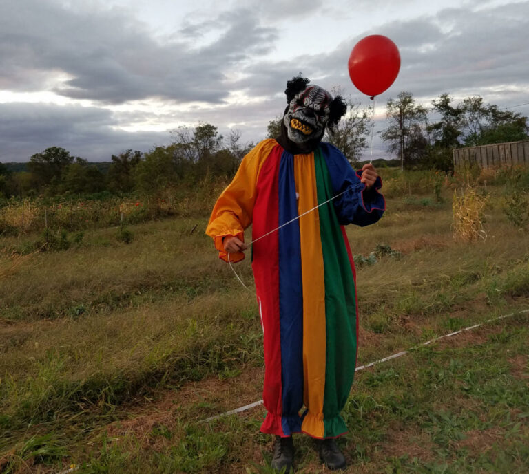 Schaefer farms fall festival offers autumn fun for families - photo licensed by shore news network.