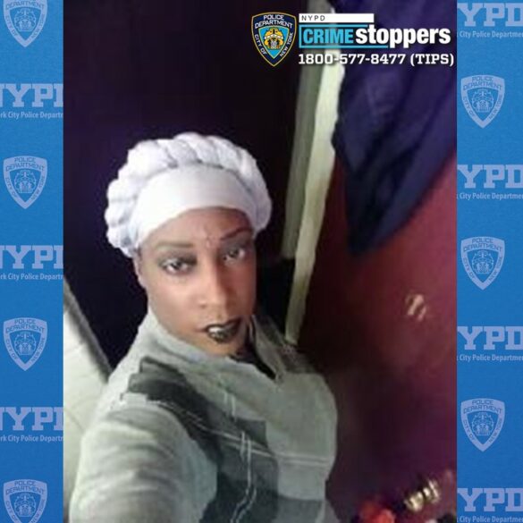 Urgent search underway for missing bronx woman - photo licensed by shore news network.