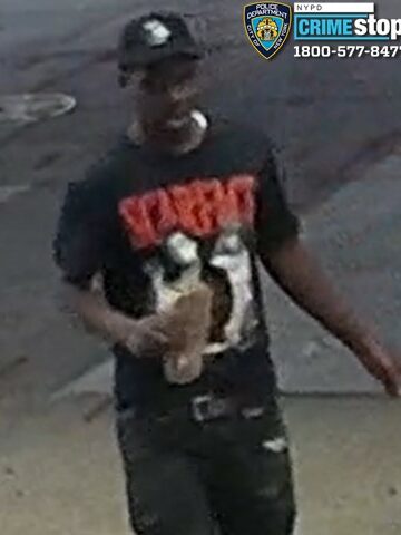 Police seek suspects in grand larceny targeting elderly woman in the Bronx Police seek suspects in grand larceny targeting elderly woman in the Bronx