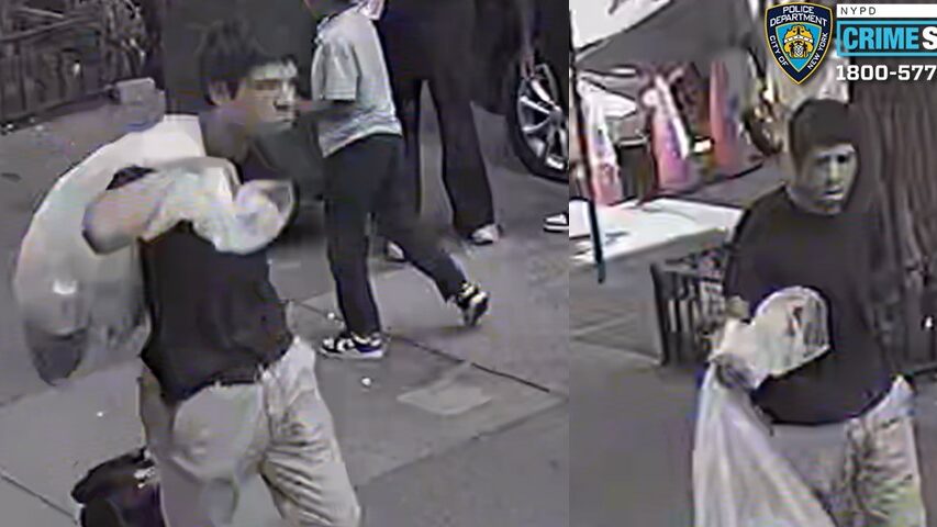 NYPD Continues Search for Unprovoked Attack Against Elderly Woman in Broad Daylight