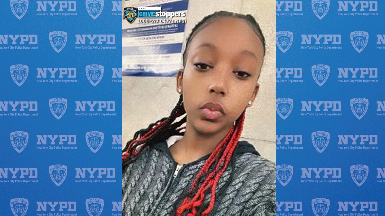 14-year-old girl reported missing in the Bronx