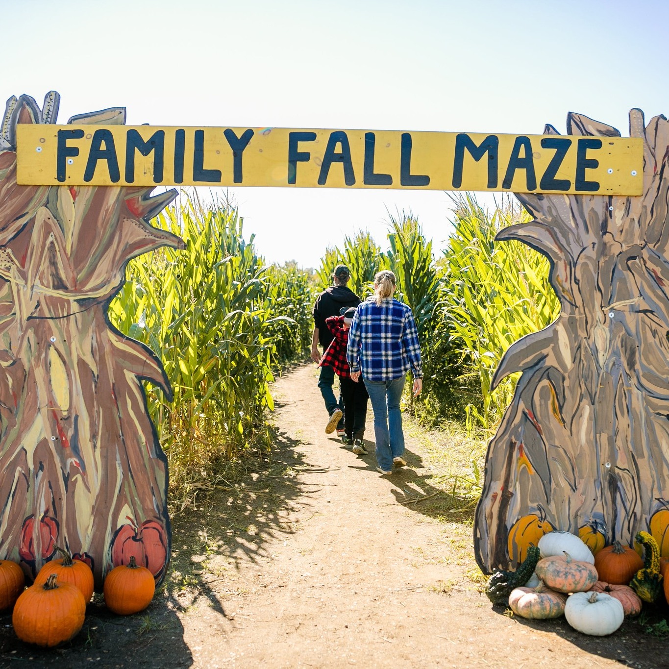 Johnson’s Locust Hall Farm Fall Festival Features 5-Acre Corn Maze