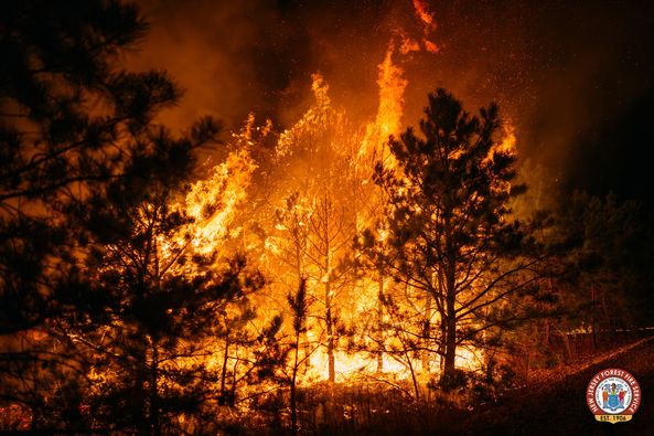 Berkeley Fire Reaches Full Containment, Forest Fire Service Reports