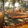 Didonato’s family fun center hosts “all a boo trick-or-treat train”