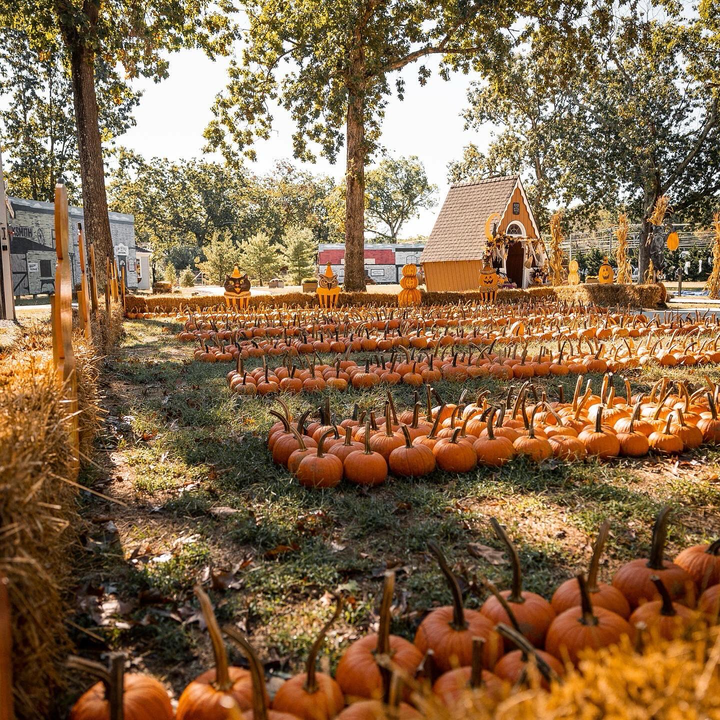 DiDonato’s Family Fun Center Hosts “ALL A BOO Trick-or-Treat Train”