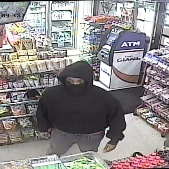 Two suspects sought in armed robbery at chesapeake gas station - photo licensed by shore news network.