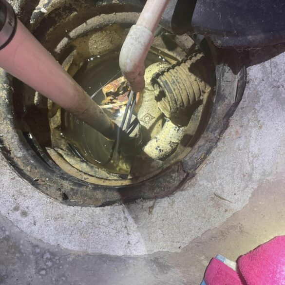 Snakes in the drain: stafford deputies rescue snake from basement sump pump - photo licensed by shore news network.