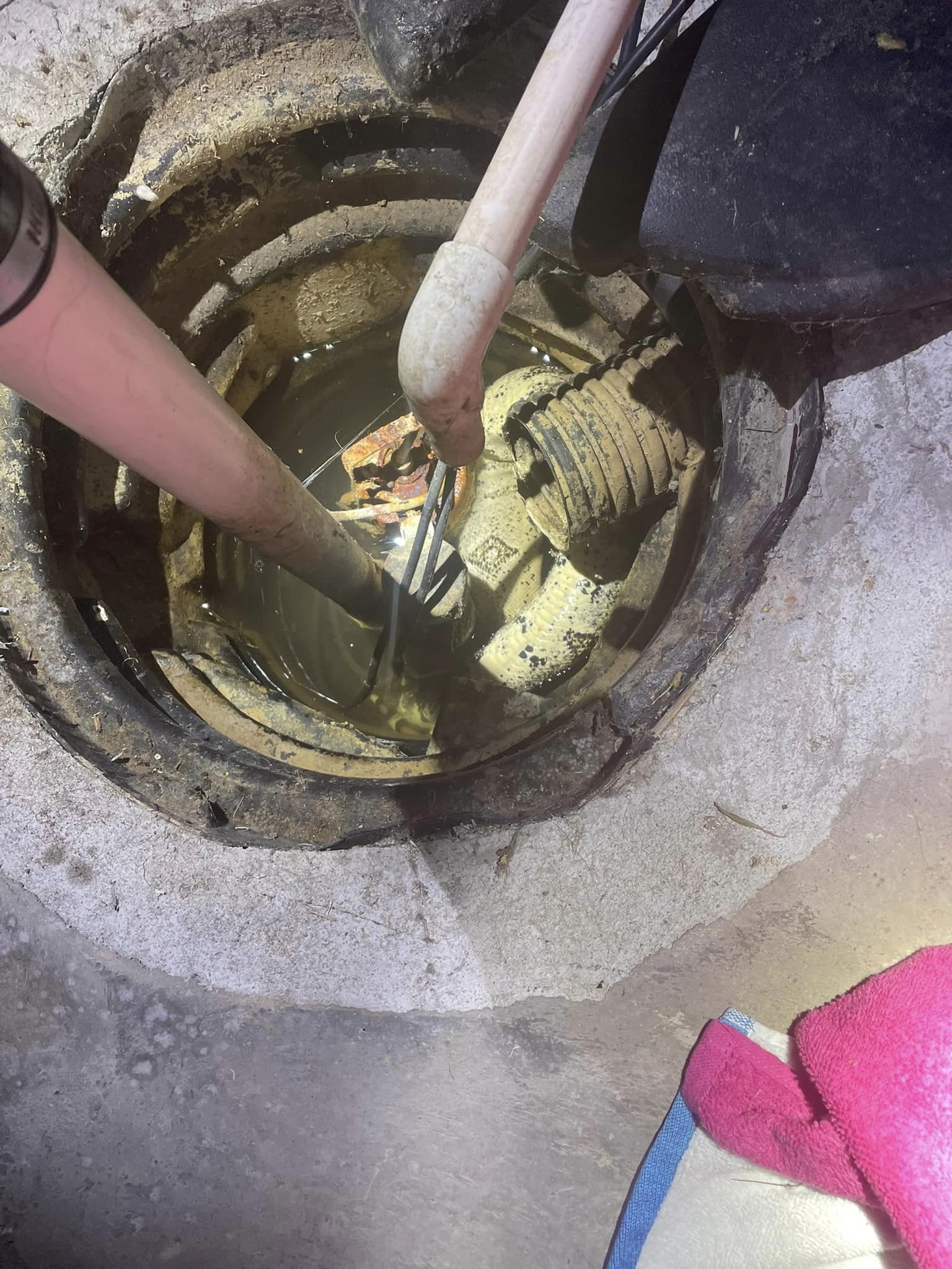 Snakes in the Drain: Stafford deputies rescue snake from basement sump pump
