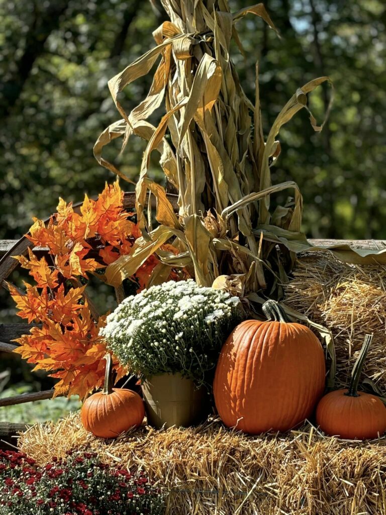 Night of frights and ghost tour haunt at historic allaire village - photo licensed by shore news network.