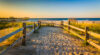 Beach in ventnor city