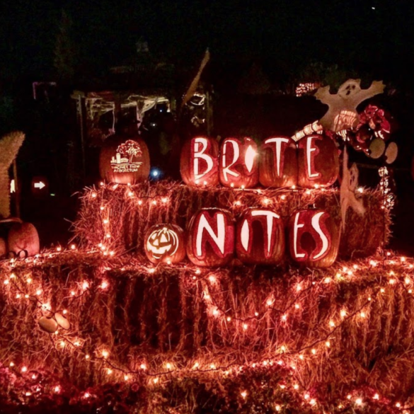 Brite nites 2024 lights up wagner farm arboretum with halloween magic on select dates in october - photo licensed by shore news network.