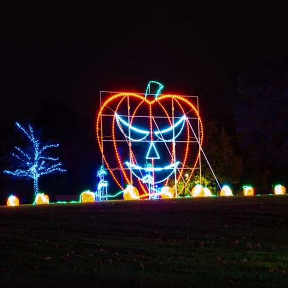 Halloween light show at demarest farms dazzles with spooky displays through october 21 - photo licensed by shore news network.