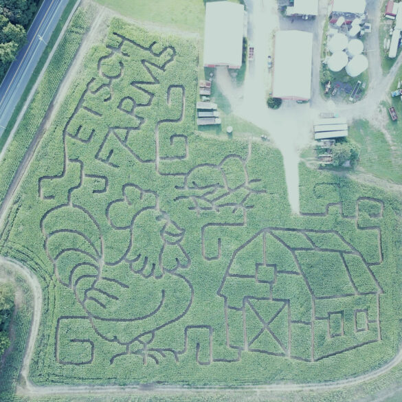 Etsch farms fall festival welcomes families for seasonal fun - photo licensed by shore news network.