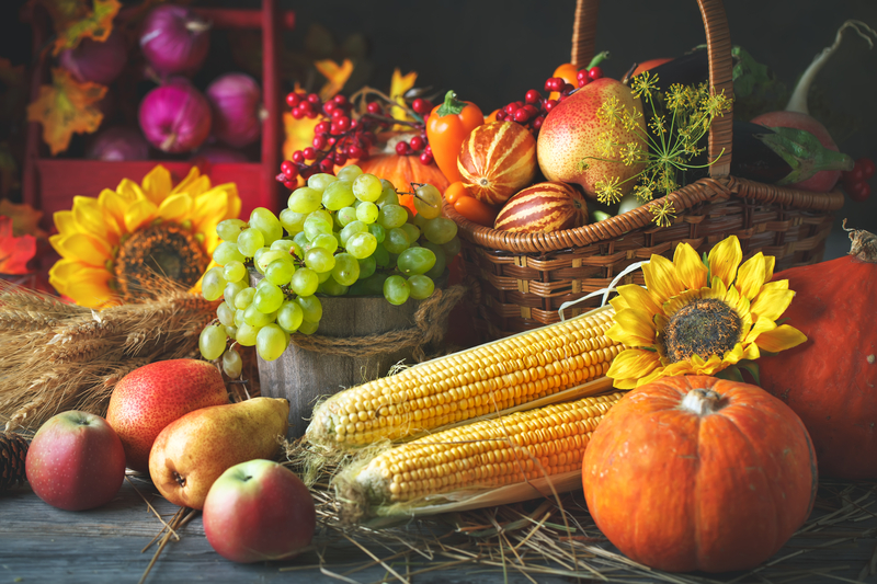 Terhune Orchards Hosts Family Fun Fall Weekends with Autumn Activities