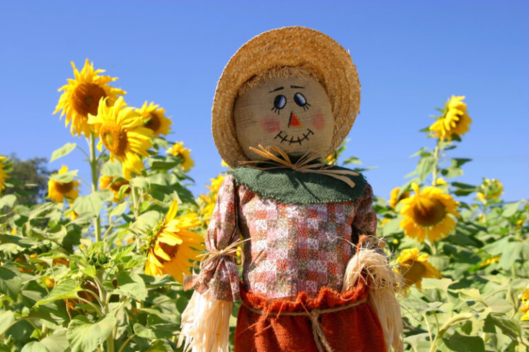 The bazaar fall festival returns to whitechapel projects for a day of festive fun - photo licensed by shore news network.