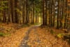 Fall weather arrives this week across new jersey